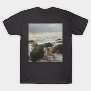 Rocky coast T-Shirt